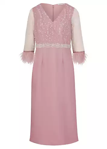 Blush Sequin and Feather Detail Dress by Kaleidoscope | Look Again