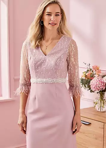 Blush Sequin and Feather Detail Dress by Kaleidoscope | Look Again