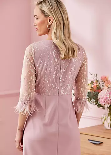 Blush Sequin and Feather Detail Dress by Kaleidoscope | Look Again