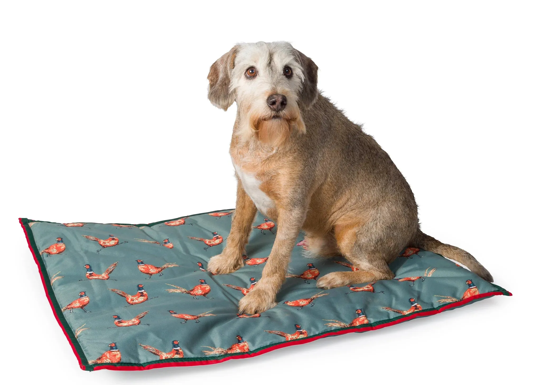 House of Paws Water Resistant Pheasant Boot Dog Mat