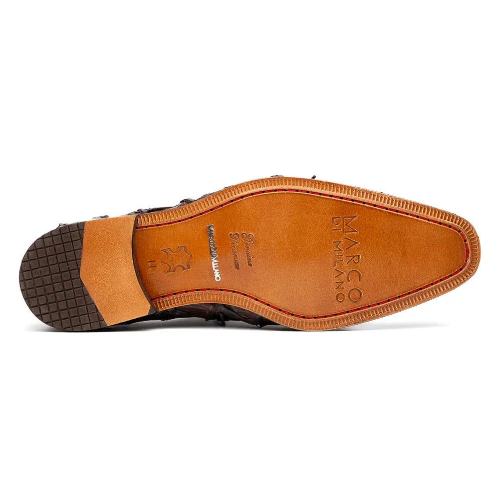 Pirarucu Criss - Brown